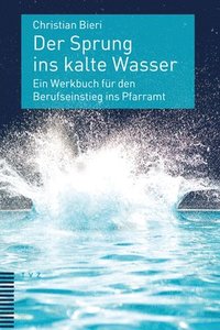 bokomslag Der Sprung Ins Kalte Wasser: Ein Werkbuch Fur Den Berufseinstieg Ins Pfarramt