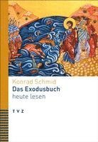 bokomslag Das Exodusbuch Heute Lesen