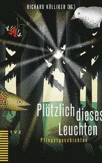 bokomslag Plotzlich Dieses Leuchten: Pfingstgeschichten