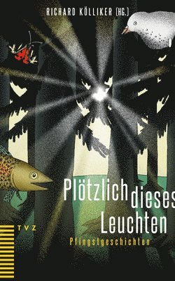 Richard Kölliker - Plotzlich Dieses Leuchten: Pfingstgeschichten, Häftad