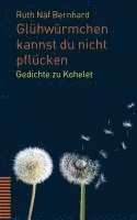 Ruth Naf Bernhard, Ruth Näf Bernhard - Gluhwurmchen Kannst Du Nicht Pflucken: Gedichte Zu Kohelet, Häftad