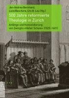 bokomslag 500 Jahre reformierte Theologie in Zürich