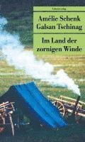 bokomslag Im Land der zornigen Winde