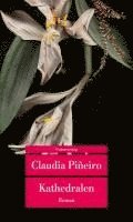 Claudia Piñeiro - Kathedralen, Häftad
