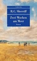 bokomslag Zwei Wochen am Meer