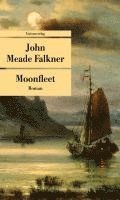 bokomslag Moonfleet