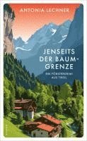 bokomslag Jenseits der Baumgrenze