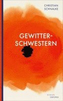 Gewitterschwestern 1