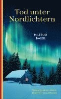 Tod unter Nordlichtern