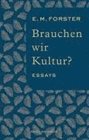 bokomslag Brauchen wir Kultur?