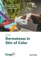 Paul Devakar Yesudian, Patrick Yesudian, Rohan Isaac Yesudian - Fast Facts: Dermatoses in Skin of Color, Häftad