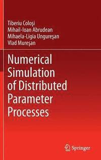 bokomslag Numerical Simulation of Distributed Parameter Processes