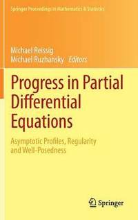 bokomslag Progress in Partial Differential Equations