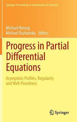 bokomslag Progress in Partial Differential Equations