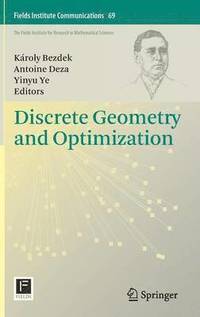 bokomslag Discrete Geometry and Optimization