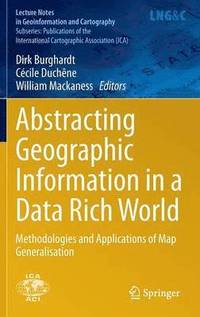 bokomslag Abstracting Geographic Information in a Data Rich World
