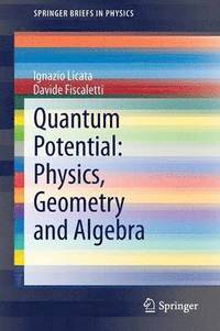 bokomslag Quantum Potential: Physics, Geometry and Algebra