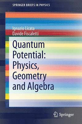 Quantum Potential: Physics, Geometry and Algebra 1