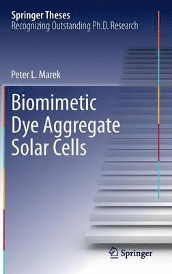 bokomslag Biomimetic Dye Aggregate Solar Cells