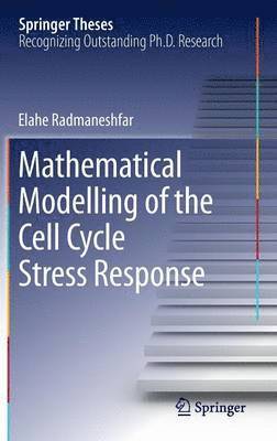 Mathematical Modelling of the Cell Cycle Stress Response 1