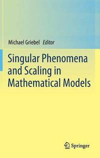 bokomslag Singular Phenomena and Scaling in Mathematical Models