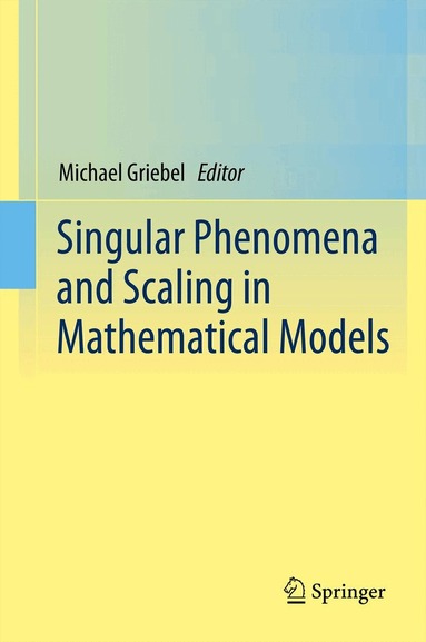 Michael Griebel - Singular Phenomena and Scaling in Mathematical Models, Inbunden