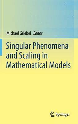 bokomslag Singular Phenomena and Scaling in Mathematical Models