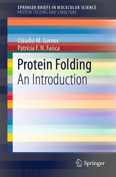 bokomslag Protein Folding