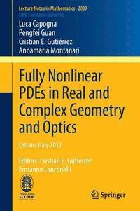 bokomslag Fully Nonlinear PDEs in Real and Complex Geometry and Optics