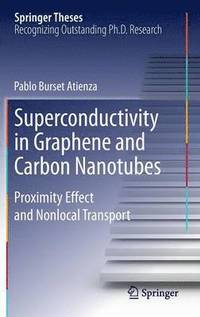 bokomslag Superconductivity in Graphene and Carbon Nanotubes