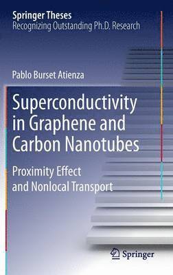 bokomslag Superconductivity in Graphene and Carbon Nanotubes