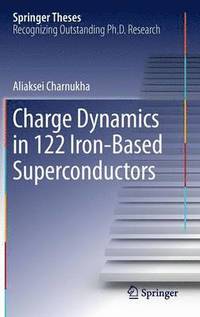 bokomslag Charge Dynamics in 122 Iron-Based Superconductors