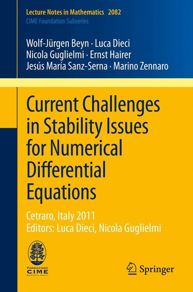 Wolf-Jürgen Beyn, Luca Dieci, Nicola Guglielmi, Ernst Hairer, Jesús María Sanz-Serna, Marino Zennaro - Current Challenges in Stability Issues for Numerical Differential Equations, Häftad