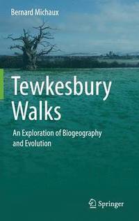 bokomslag Tewkesbury Walks