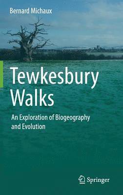 bokomslag Tewkesbury Walks