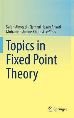 bokomslag Topics in Fixed Point Theory