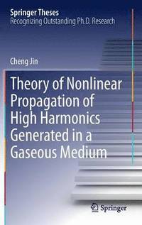 bokomslag Theory of Nonlinear Propagation of High Harmonics Generated in a Gaseous Medium