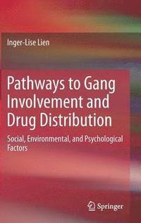bokomslag Pathways to Gang Involvement and Drug Distribution