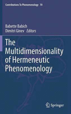 bokomslag Multidimensionality of Hermeneutic Phenomenology