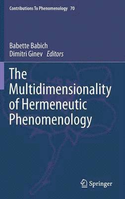 The Multidimensionality of Hermeneutic Phenomenology 1