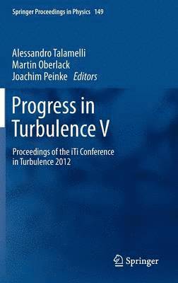 bokomslag Progress in Turbulence V