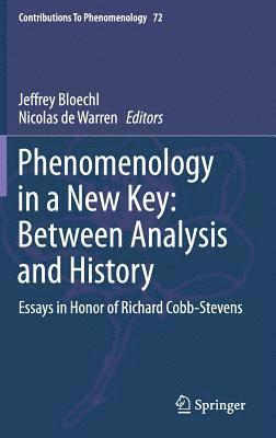 bokomslag Phenomenology in a New Key: Between Analysis and History