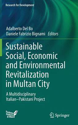 bokomslag Sustainable Social, Economic and Environmental Revitalization in Multan City