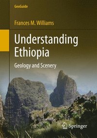 bokomslag Understanding Ethiopia