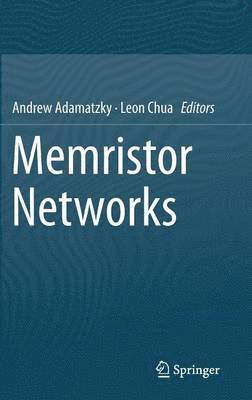 Memristor Networks 1