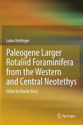 bokomslag Paleogene larger rotaliid foraminifera from the western and central Neotethys