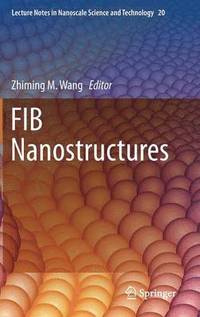 bokomslag FIB Nanostructures