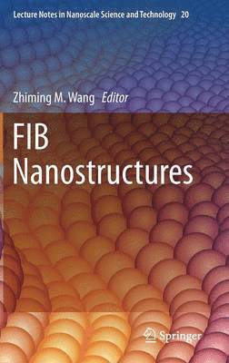 Zhiming M. Wang - FIB Nanostructures, Inbunden
