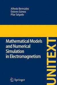 bokomslag Mathematical Models and Numerical Simulation in Electromagnetism