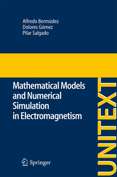 Alfredo Bermúdez de Castro, Dolores Gomez, Pilar Salgado - Mathematical Models and Numerical Simulation in Electromagnetism, Häftad